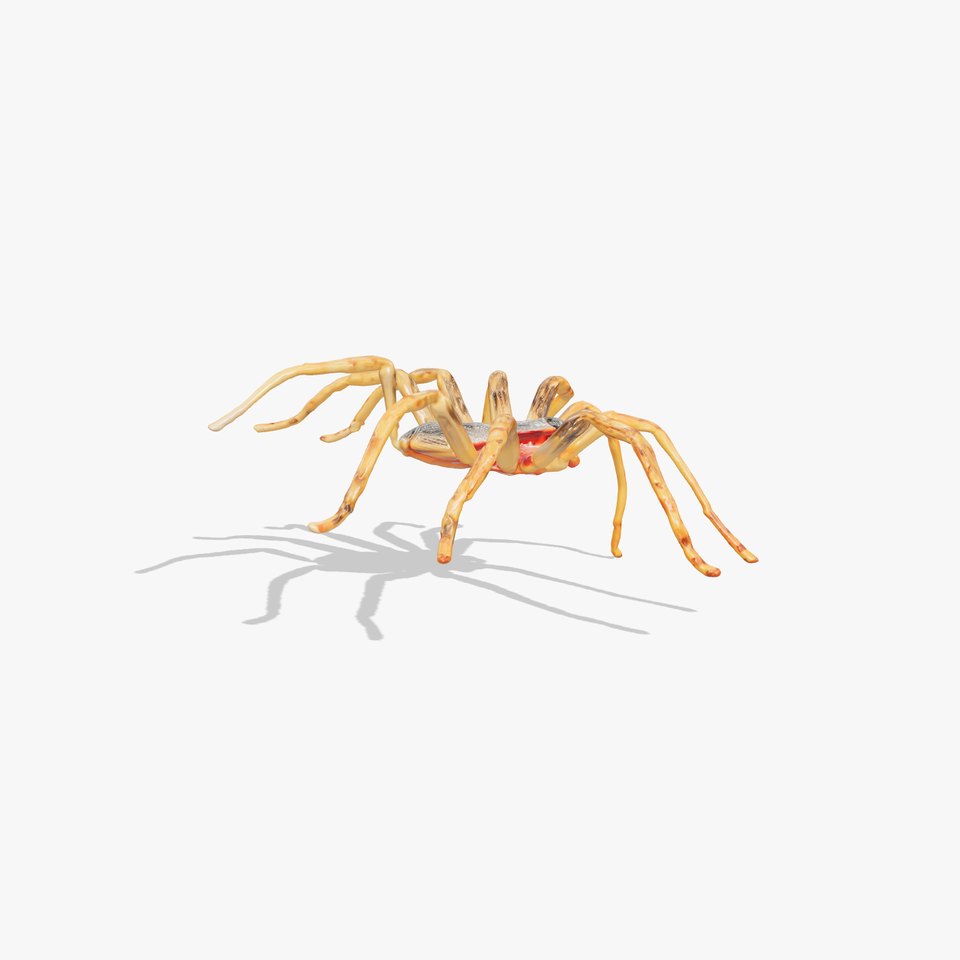 Huntsman Spider Agile Model Pack